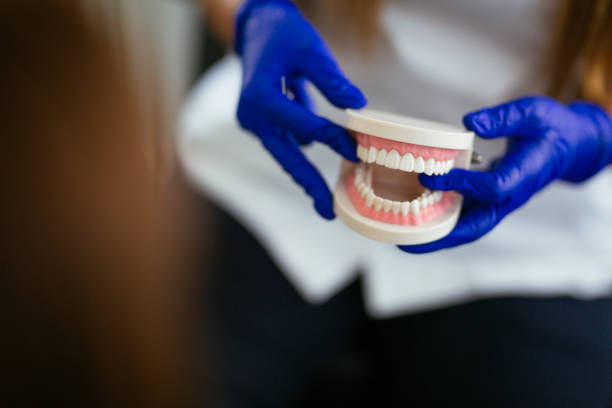 Professional Dental Services in Zilwaukee, MI